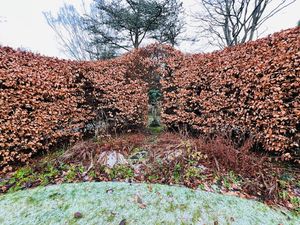 Photo 24- click for photo gallery